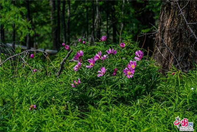 be5d00a9-8ec2-4754-b5d6-94456defeb29_watermark