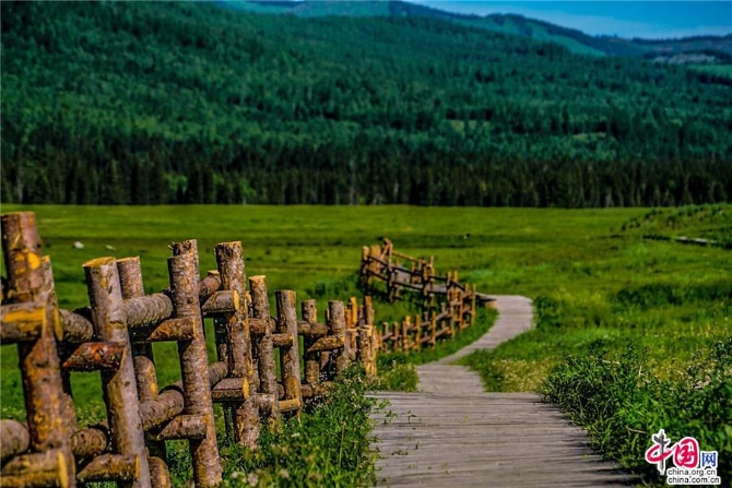 c16f81c2-f551-42a1-b2ba-cf82713abfbd_watermark_watermark