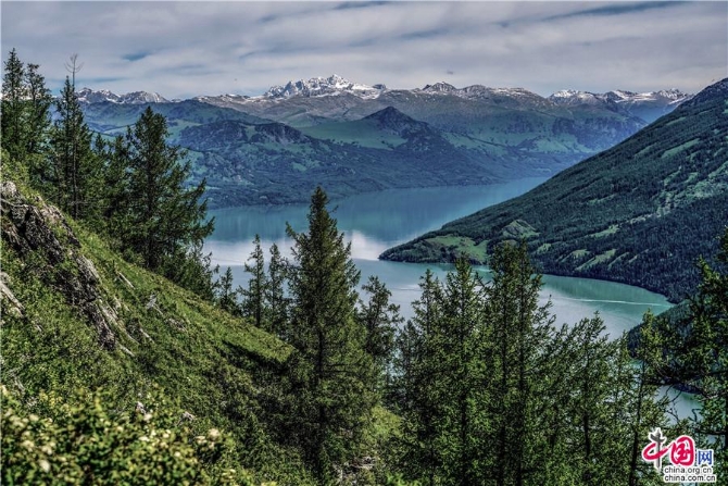 78792e2f-1c9c-4992-8a05-ed23fae72577_watermark