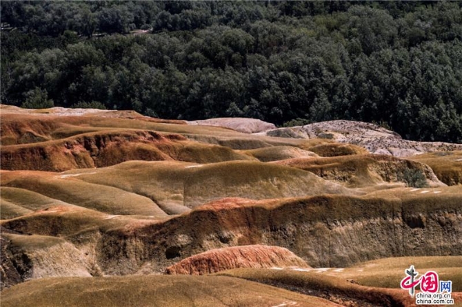 5f0ad175-8d83-436e-9843-66dd176190ee_watermark