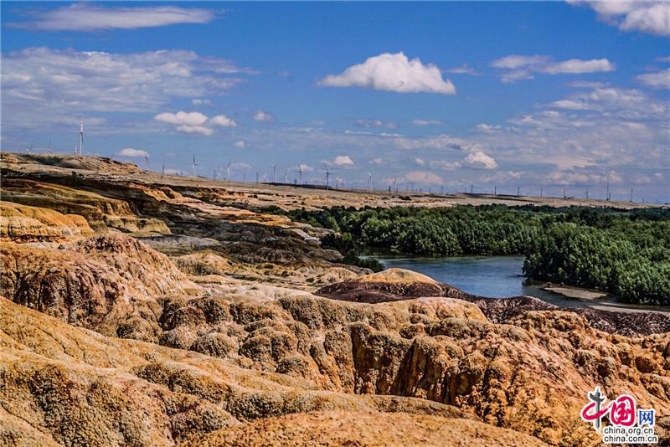 a8d21318-3f34-4dbb-99c0-632c8a6a8434_watermark