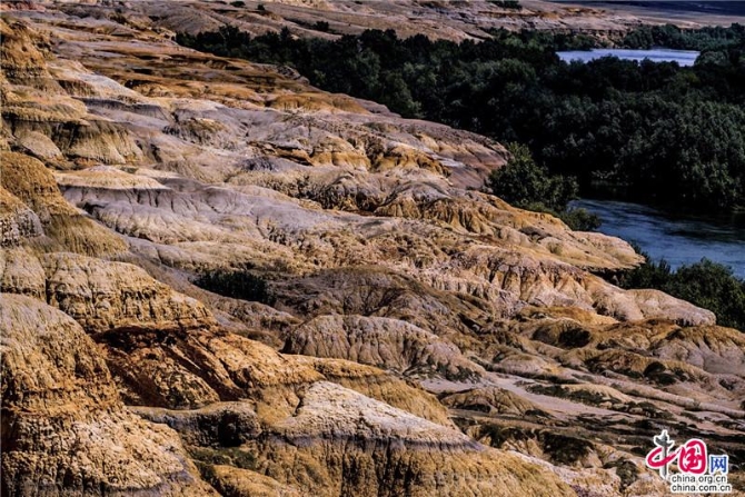 189875d9-7fe2-488e-bf79-ab12563991cc_watermark