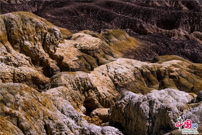 d3bd8508-12b8-4ef7-9059-8465c8ea4f2f_watermark