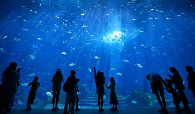 海南,你怎么这么好看! 海南,你怎么这么好看!