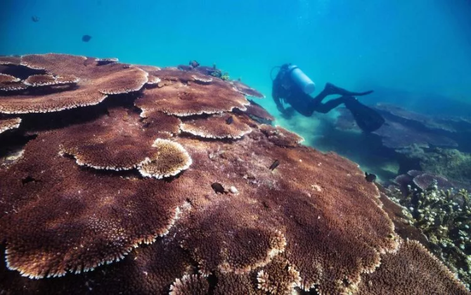 海南,你怎么这么好看! 海南,你怎么这么好看!