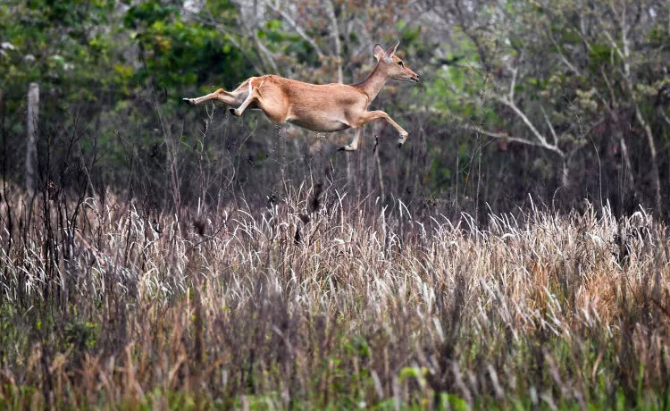 海南,你怎么这么好看! 海南,你怎么这么好看!