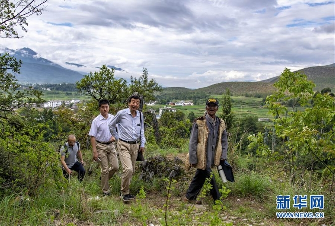 (壮丽70年·奋斗新时代——记者再走长征路·图文互动)(3)丽江古城的红色记忆