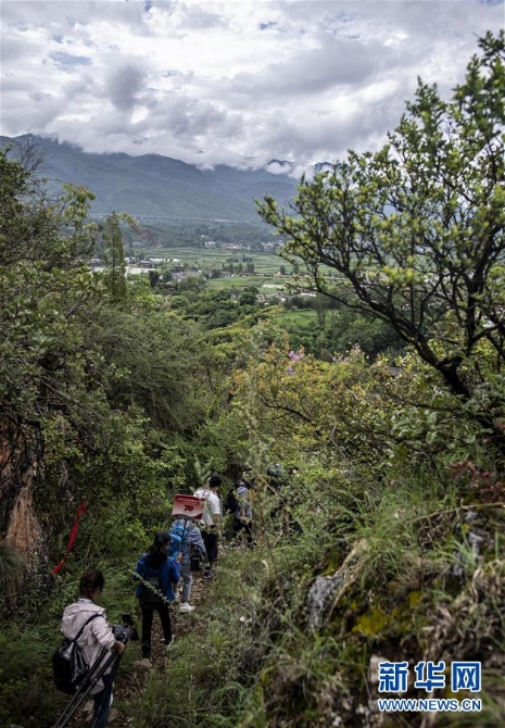 (壮丽70年·奋斗新时代——记者再走长征路·图文互动)(2)丽江古城的红色记忆