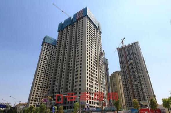 20190726081918_519 20190726081918_519