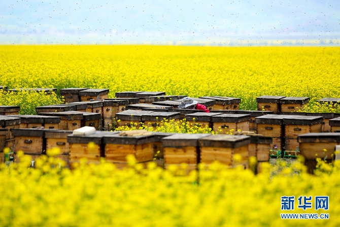 1124803048_15641264350431n 1124803048_15641264350431n