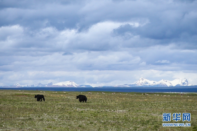 1124803048_15641264351121n 1124803048_15641264351121n