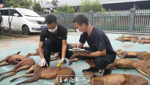 binary_middle (1).jpg