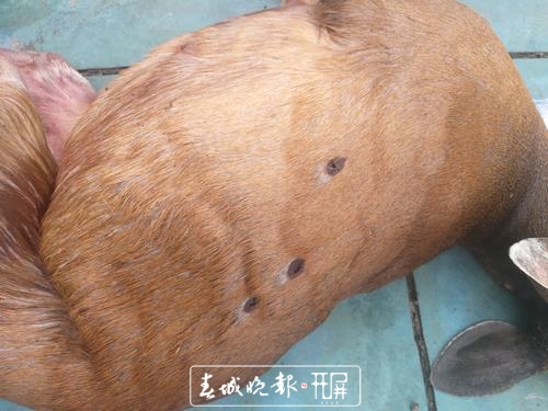 binary_middle (4).jpg