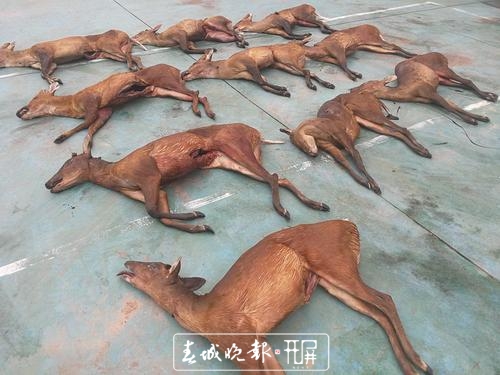 binary_middle (3).jpg