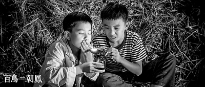 艺术电影叫好也要叫座