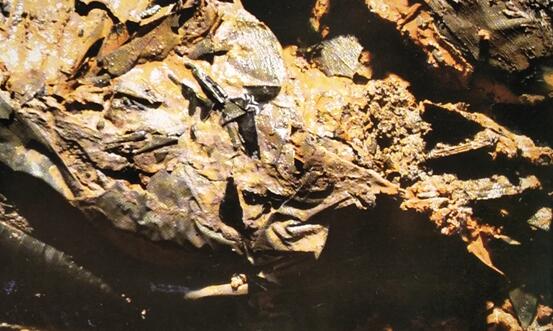 刀光剑影:盘点刘贺墓中的汉代兵器 刀光剑影:盘点刘贺墓中的汉代兵器