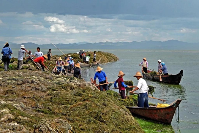 微信图片_20190805162106 微信图片_20190805162106