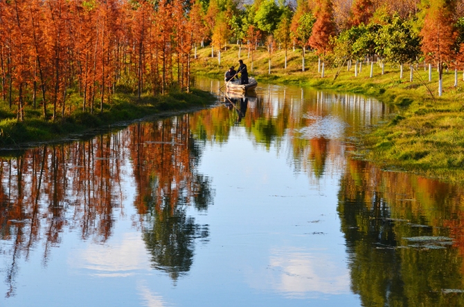 东大河之秋 东大河之秋