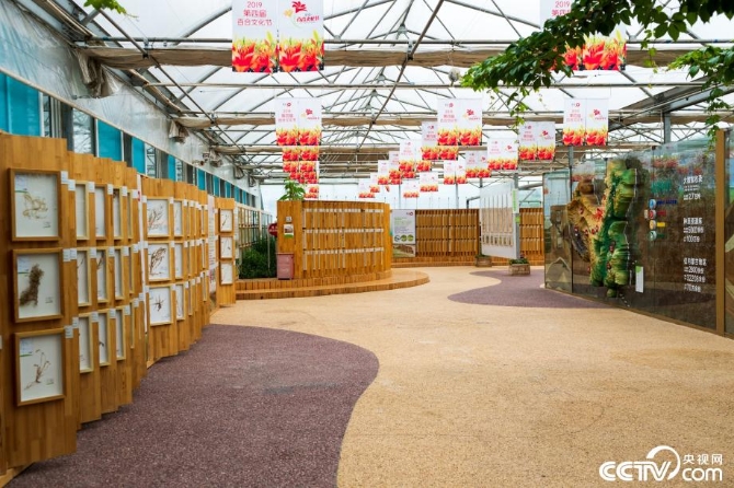 【新时代·幸福美丽新边疆】小草也有大讲究 “智慧”开出生态修复新“良方” 【新时代·幸福美丽新边疆】小草也有大讲究 “智慧”开出生态修复新“良方”