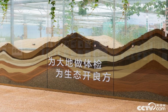 【新时代·幸福美丽新边疆】小草也有大讲究 “智慧”开出生态修复新“良方” 【新时代·幸福美丽新边疆】小草也有大讲究 “智慧”开出生态修复新“良方”