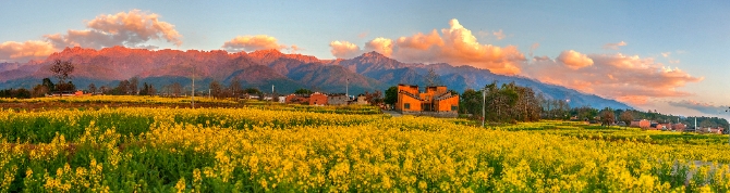 138290066_15651464082581n