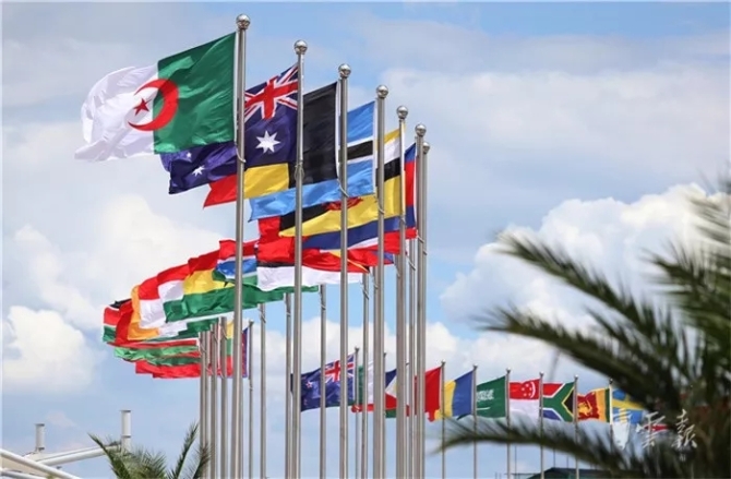 13.webp (1) 13.webp (1)