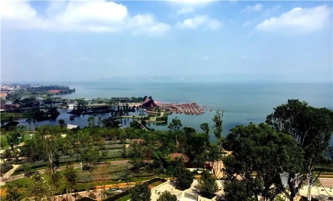 中国日报.webp 中国日报.webp