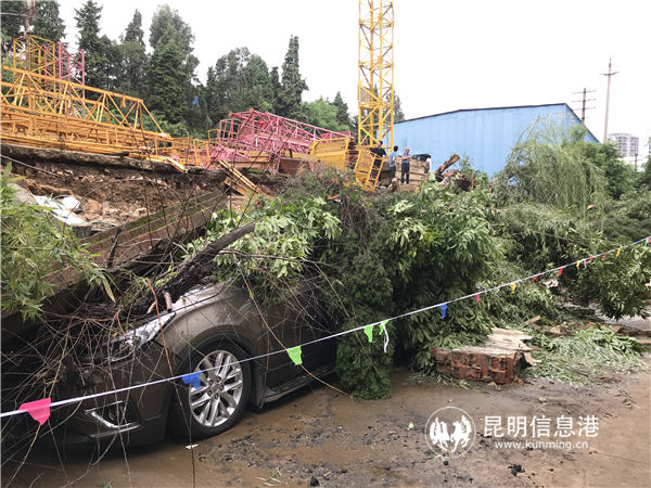 微信图片_20190814113532 微信图片_20190814113532