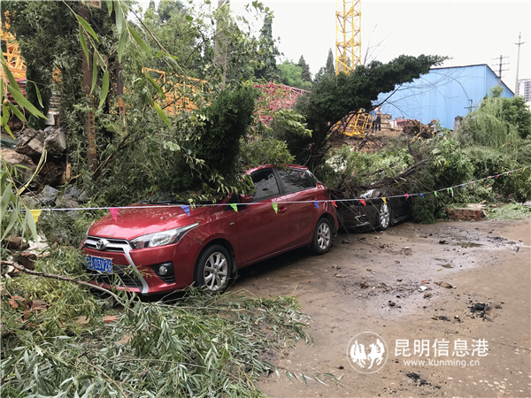 微信图片_20190814113528 微信图片_20190814113528