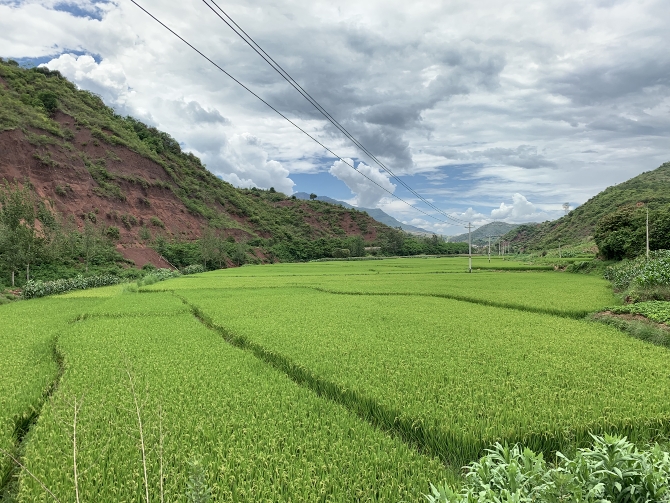 微信图片_20190814142113 微信图片_20190814142113