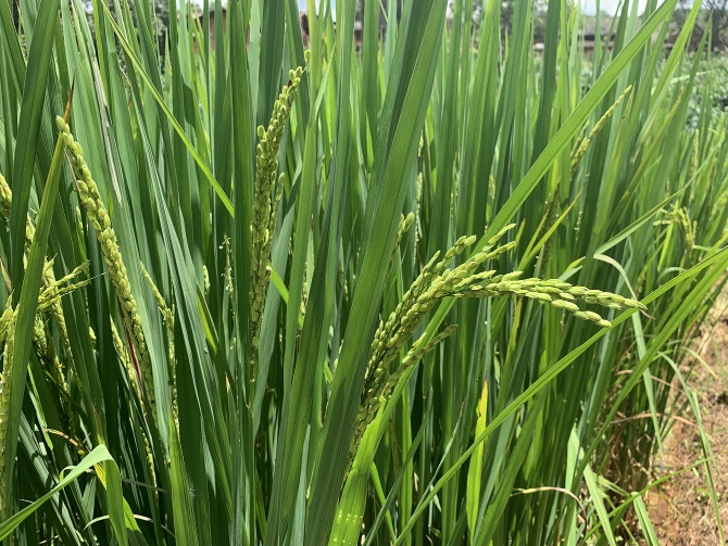 d40cee0ea73b3f65bda0c46e2d3fee1 d40cee0ea73b3f65bda0c46e2d3fee1