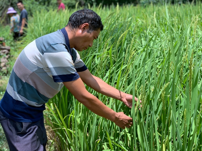 7f282a3d68e33414ebf97a3b0089c02 7f282a3d68e33414ebf97a3b0089c02