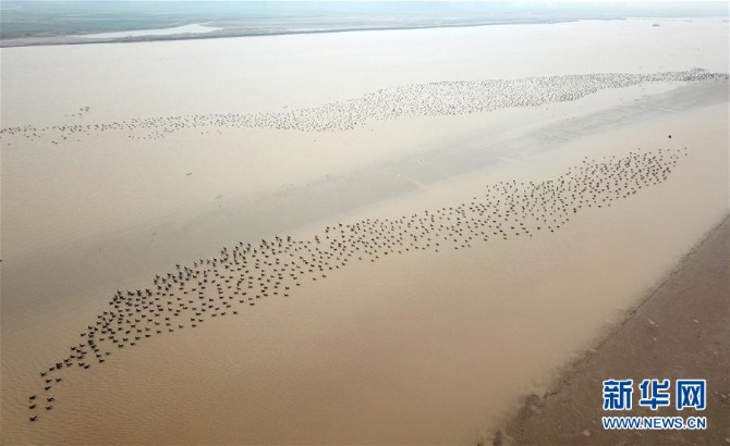 (图文互动)(3)大河奔流书写绿色发展画卷——黄河连续20年不断流启示