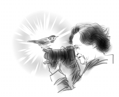 候鸟是大地上的另一种节气