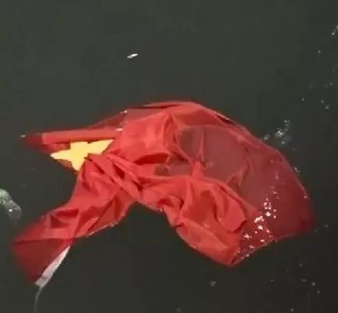 这才是我们同心建设的香港，这才是广大香港青年的模样！