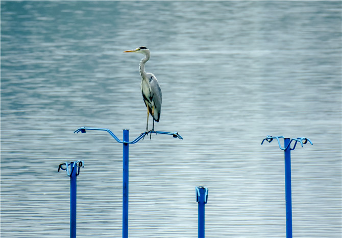 1049656663 1049656663