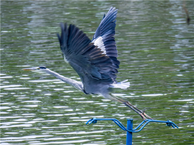 1399196211 1399196211