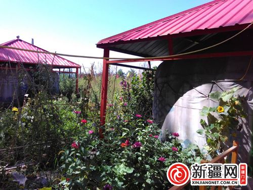 5QQ图片20190822171702