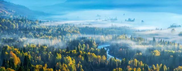 今日处暑！晚风渐凉，有你心暖