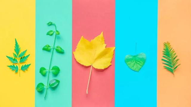 今日处暑！晚风渐凉，有你心暖