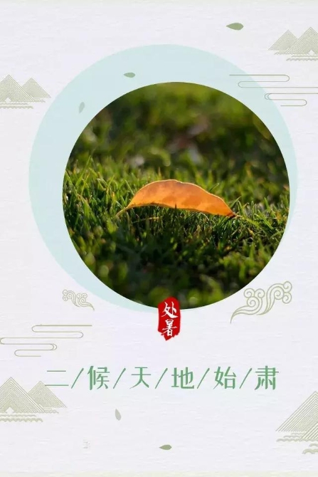 今日处暑！晚风渐凉，有你心暖