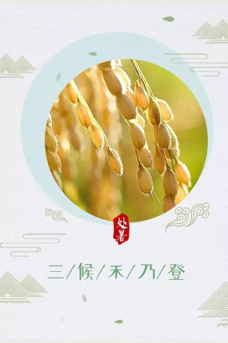 今日处暑！晚风渐凉，有你心暖