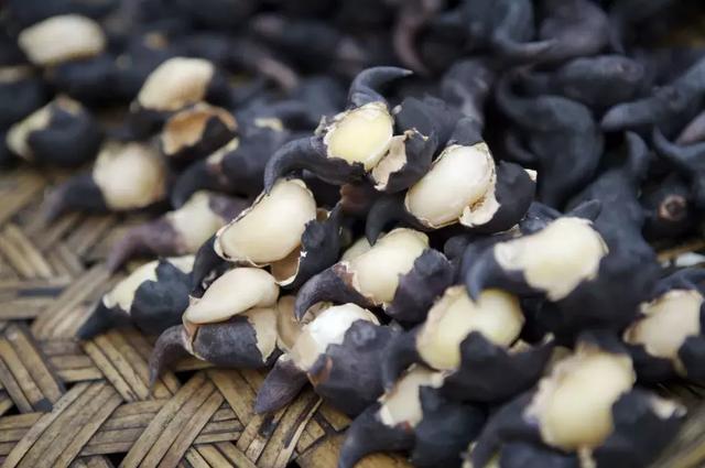 今日处暑！晚风渐凉，有你心暖