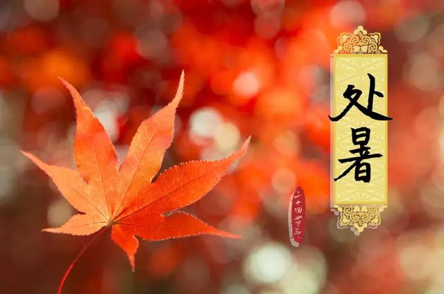 今日处暑！晚风渐凉，有你心暖