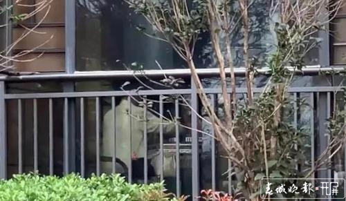 宅小区内开麻将馆整天“哗啦哗啦” 居民头疼 物管没辙 到底该怎么办?3.jpg