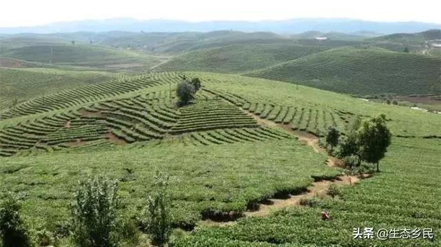 景洪市大渡岗乡