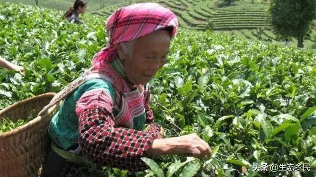 景洪市大渡岗乡