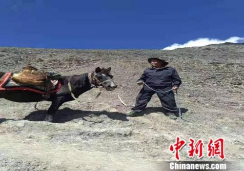 贵桑赴麦拉扎青山口进行巡逻。 供图