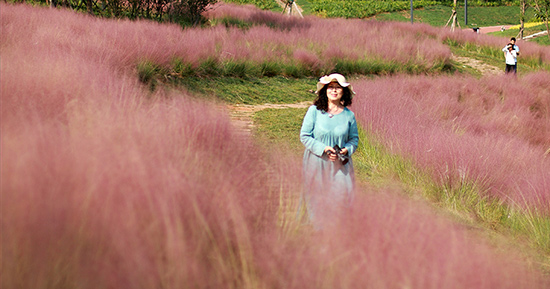 QQ图片20190831205143 QQ图片20190831205143