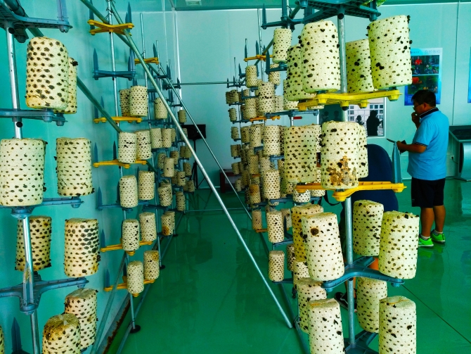 微信图片_20190831212205 微信图片_20190831212205